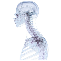 Brain & Spine Cancer